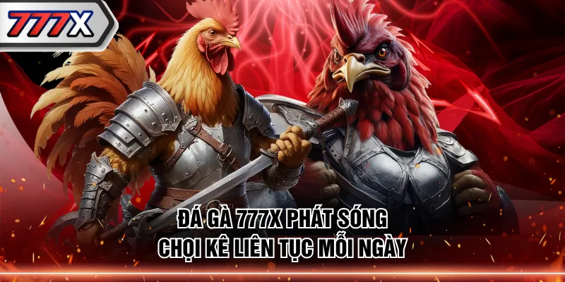 Đá Gà 777X phát sóng chọi kê liên tục mỗi ngày